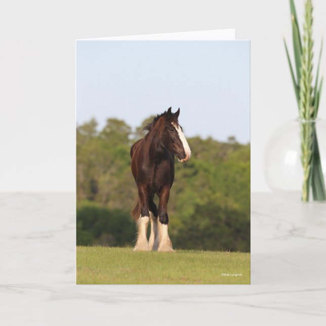 Bob Langrish | Shire Horse Standing In Field Card (Front)