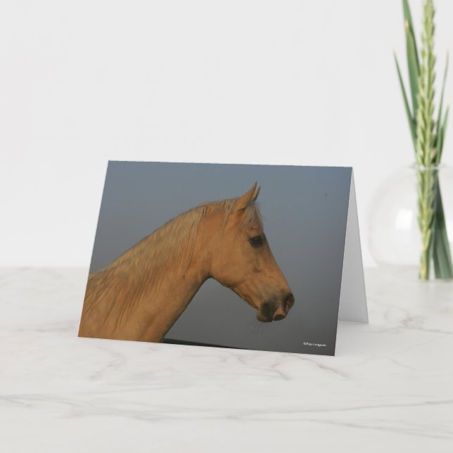 Bob Langrish | Tennessee Walker Misty Headshot Card (Front)