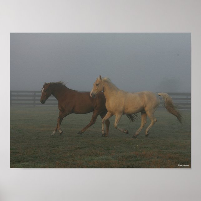 Bob Langrish | Tennessee Walking Horses Running Poster (Front)