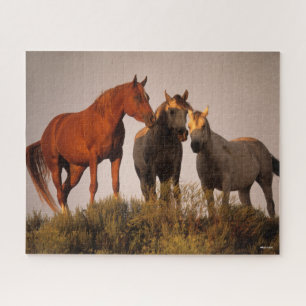 Bob Langrish Three Arab Horses Standing At Sunset Jigsaw Puzzle