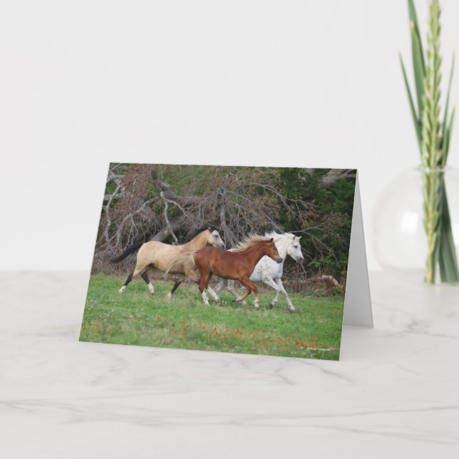 Bob Langrish | Three Ponies Running Together Card (Front)