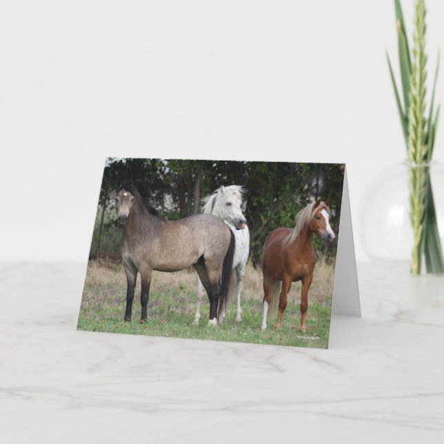 Bob Langrish | Three Ponies Standing Together Card (Front)
