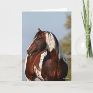 Bob Langrish Tobiano Paint Horse Stallion headshot Card
