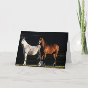 Bob Langrish   Two Arab Mares Standing In Sunlight Card