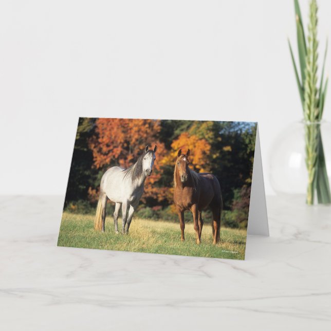 Bob Langrish Two Arabs Standing Together in Field Card (Front)