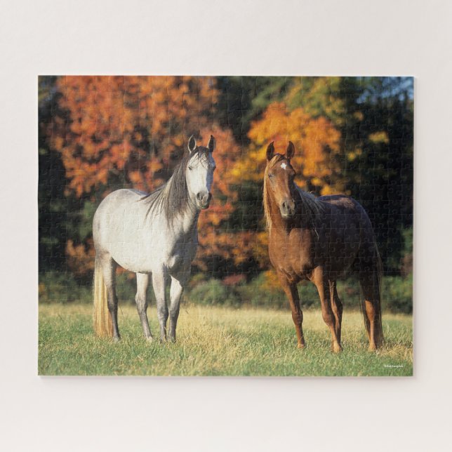 Bob Langrish Two Arabs Standing Together in Field Jigsaw Puzzle (Horizontal)