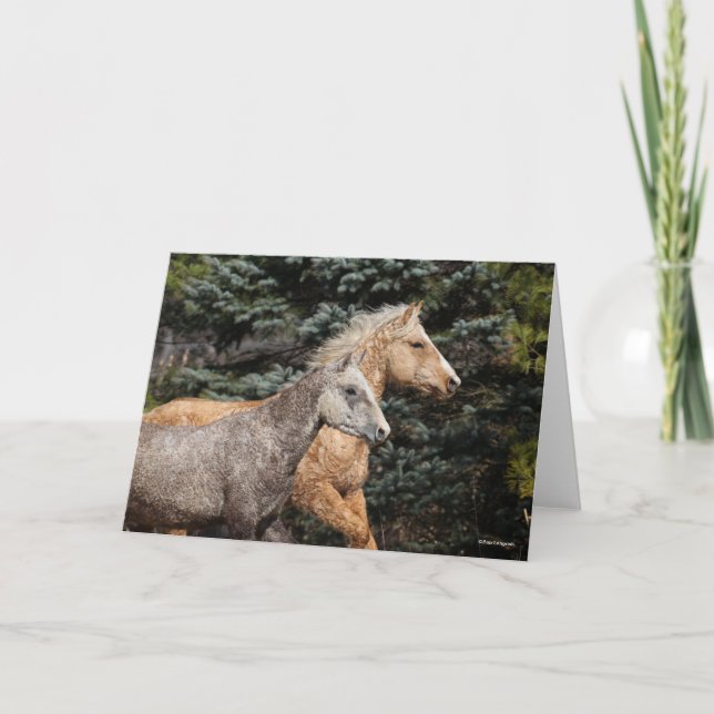 Bob Langrish | Two Bashkir Curly Horses Headshot Card (Front)