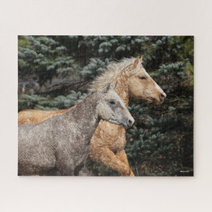 Bob Langrish   Two Bashkir Curly Horses Headshot Jigsaw Puzzle