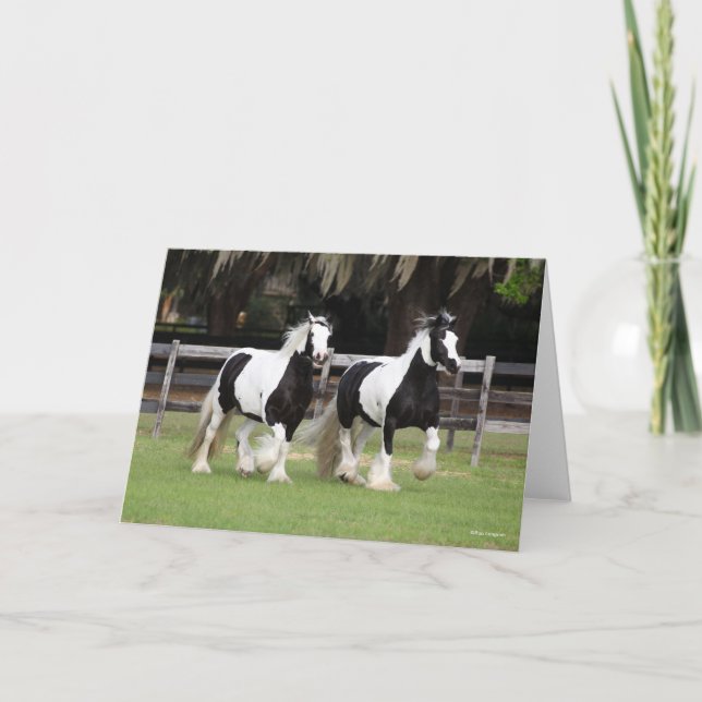 Bob Langrish | Two Black and White Gypsy Vanners Card (Front)