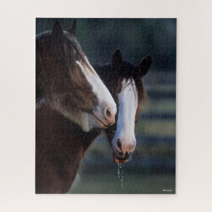 Bob Langrish   Two Clydesdale Horses Headshot Jigsaw Puzzle