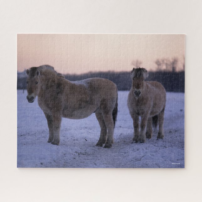 Bob Langrish | Two Fjord Horses Standing In Snow Jigsaw Puzzle (Horizontal)