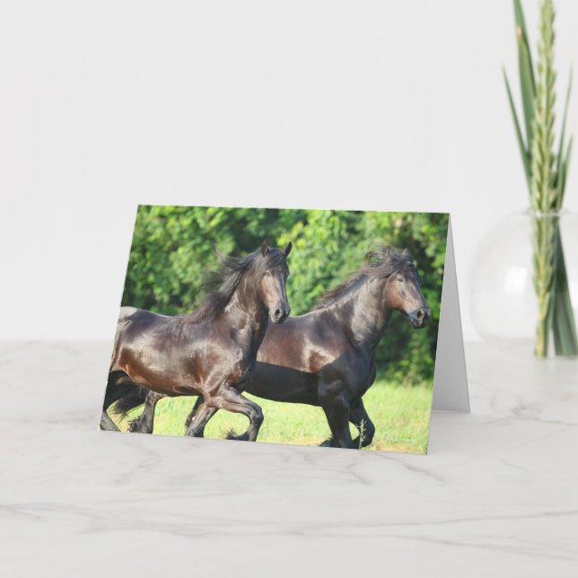 Bob Langrish | Two Friesians Running Together Card (Front)