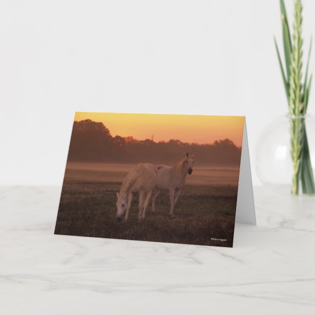 Bob Langrish | Two Grey Arab Horses Standing Card (Front)