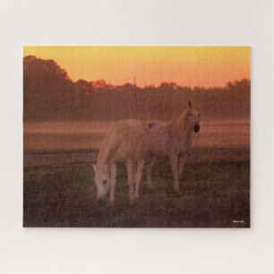 Bob Langrish   Two Grey Arab Horses Standing Jigsaw Puzzle