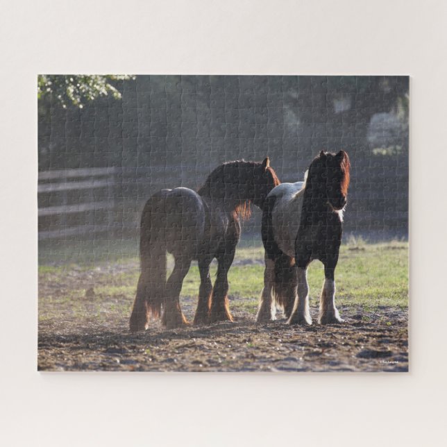 Bob Langrish | Two Gypsy Vanners In Field Backlit Jigsaw Puzzle (Horizontal)