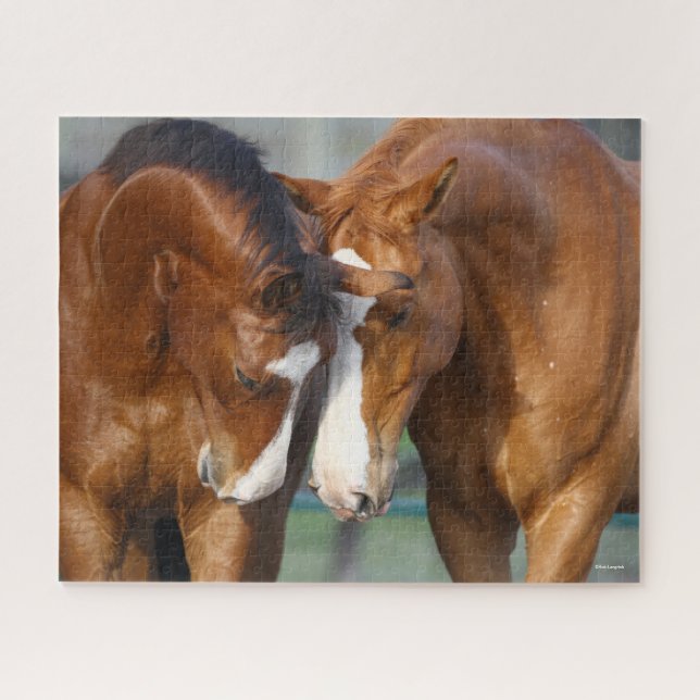 Bob Langrish | Two Horses Heads Together Jigsaw Puzzle (Horizontal)