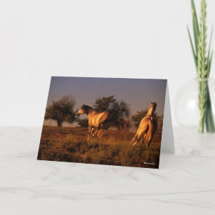 Bob Langrish   Two Horses Running In Sunset Card