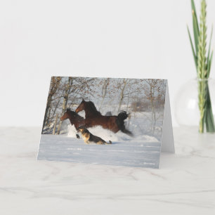 Bob Langrish   Two Morgan Horses and Dog In Snow Card