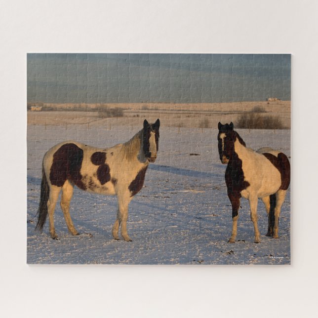 Bob Langrish | Two Paint Horses In The Snow Jigsaw Puzzle (Horizontal)