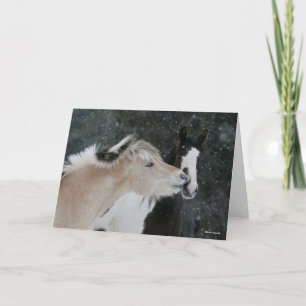 Bob Langrish   Two Ponies Meeting In Snow headshot Card