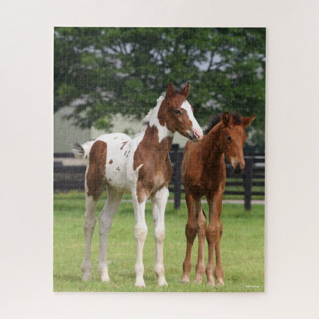 Bob Langrish | Two Sport Horse Foals Standing Jigsaw Puzzle (Vertical)