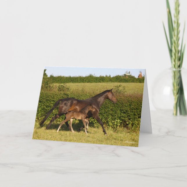 Bob Langrish | Warmblood mare and Foal Walking Card (Front)