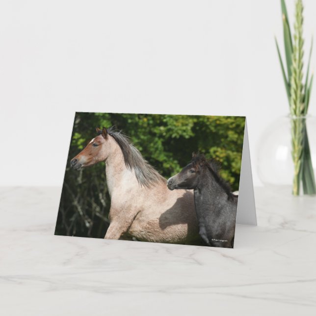 Bob Langrish | Welsh Pony Mare and Foal Headshot Card (Front)