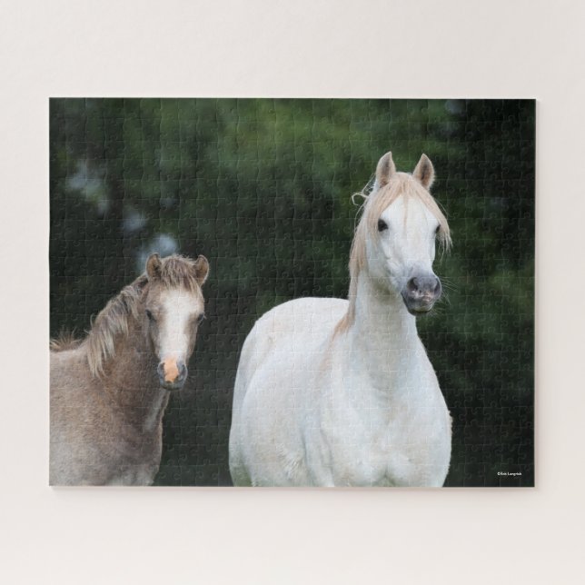 Bob Langrish | Welsh Pony Mare and Foal Jigsaw Puzzle (Horizontal)