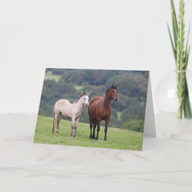 Bob Langrish | Welsh Pony Mare and Foal Standing Card (Front)