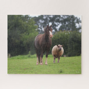 Bob Langrish   Welsh Pony Mare Standing With Sheep Jigsaw Puzzle