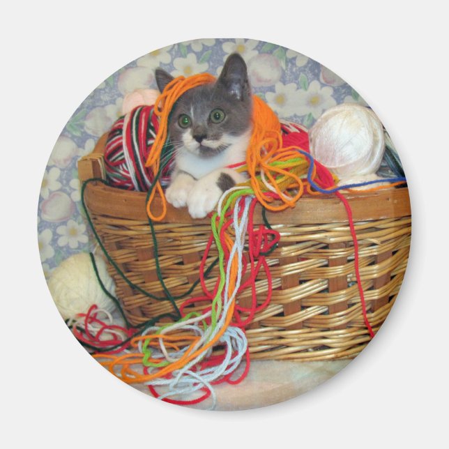 Bob Spinn'in a Yarn Magnet (Front)