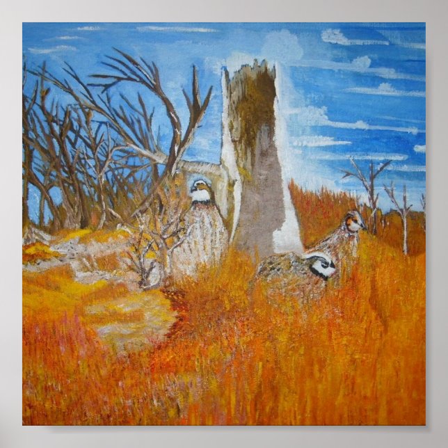 Bob White Quail Poster (Front)