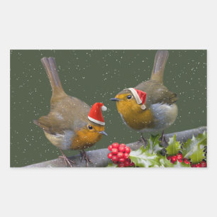 Bobbin' Robin Sticker