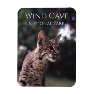 Bobcat at Wind Cave National Park, South Dakota Magnet
