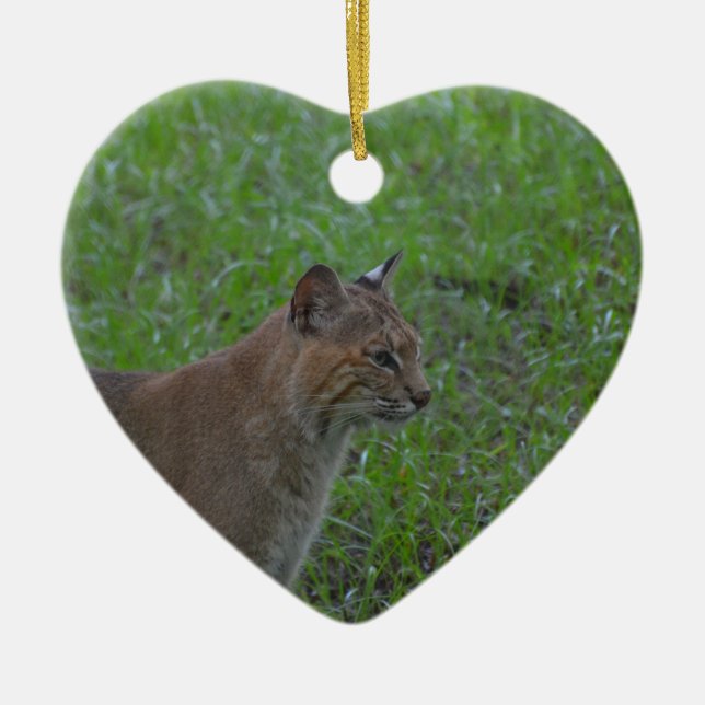 Bobcat Ceramic Tree Decoration (Front)
