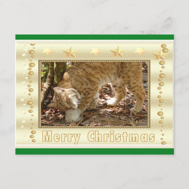 Bobcat Christmas Postcard (Front)
