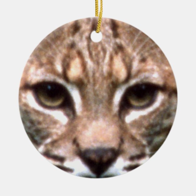 Bobcat Face Ceramic Tree Decoration (Front)