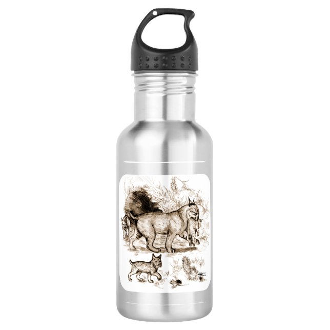 Bobcat Family 532 Ml Water Bottle (Front)