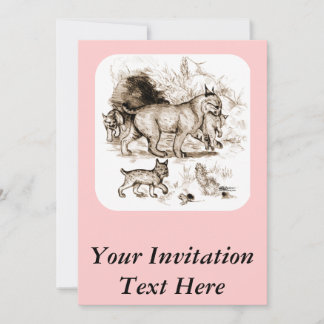 Bobcat Family Invitation