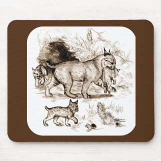 Bobcat Family Mouse Pad