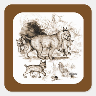 Bobcat Family Square Sticker