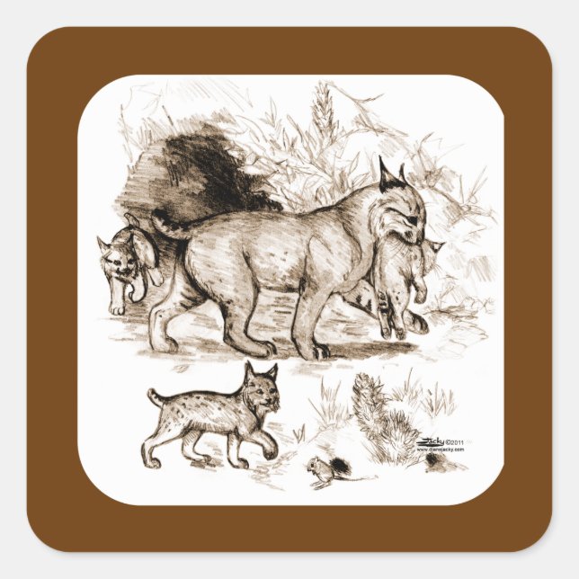 Bobcat Family Square Sticker (Front)