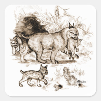 Bobcat Family Square Sticker