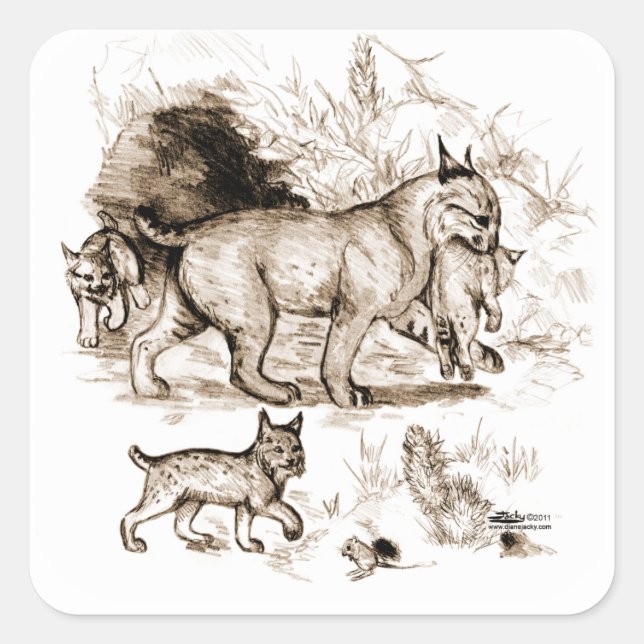 Bobcat Family Square Sticker (Front)