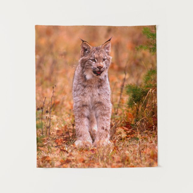 Bobcat Hunting | Autumn Forest Tapestry (Front)