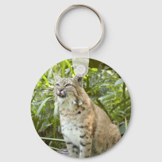 Bobcat Keychains