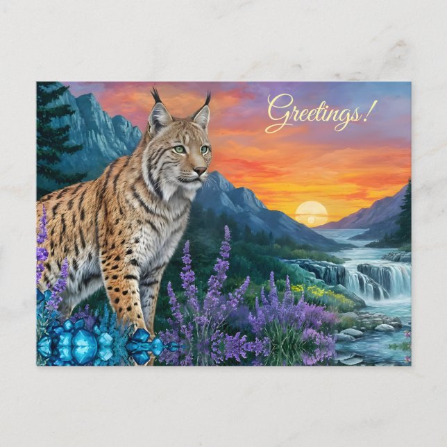 Bobcat / Lynx at sunrise by waterfall Postcard (Front)