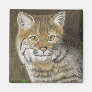 Bobcat Magnet