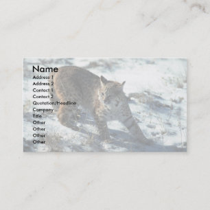 Bobcat on snow business card
