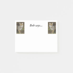 Bobcat Post-it Notes